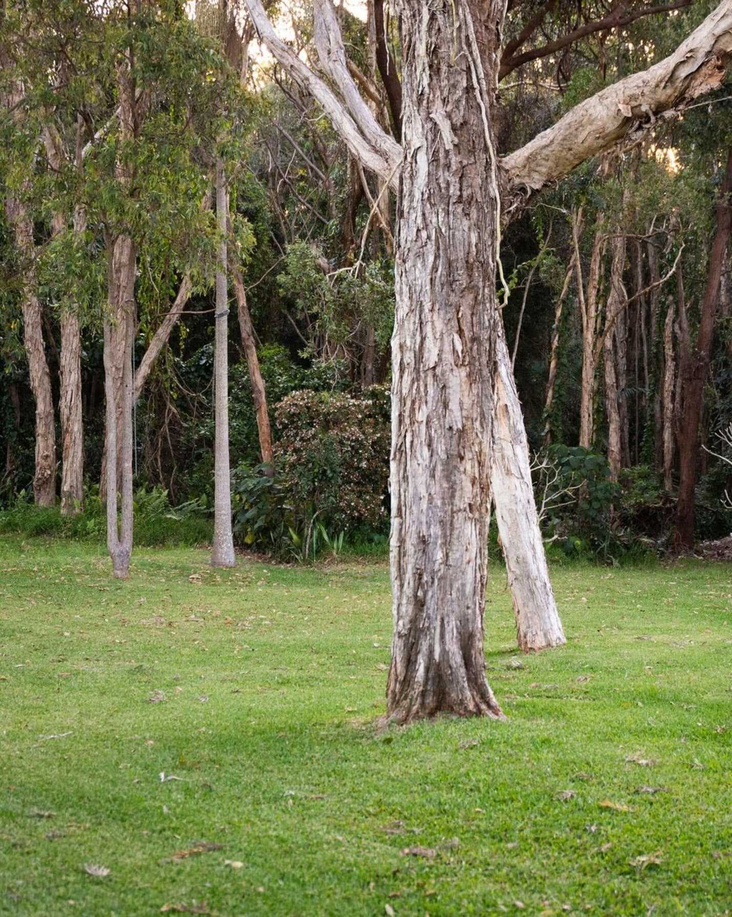 87 Cinnamon Avenue Coolum Beach, Beach - Thumbnail 5