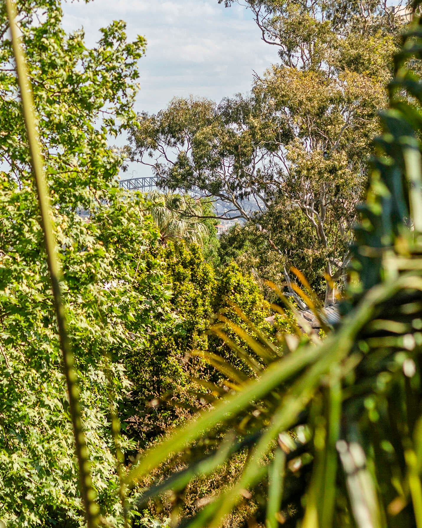 4a/91 Ocean Street Woollahra, Woollahra - Thumbnail 3