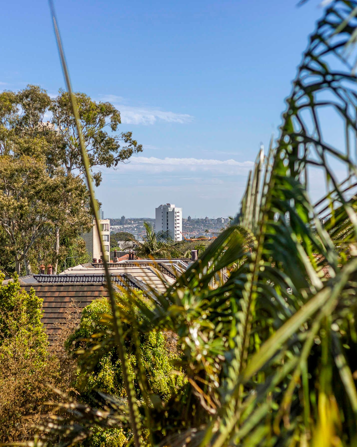 4a/91 Ocean Street Woollahra, Woollahra - Thumbnail 5