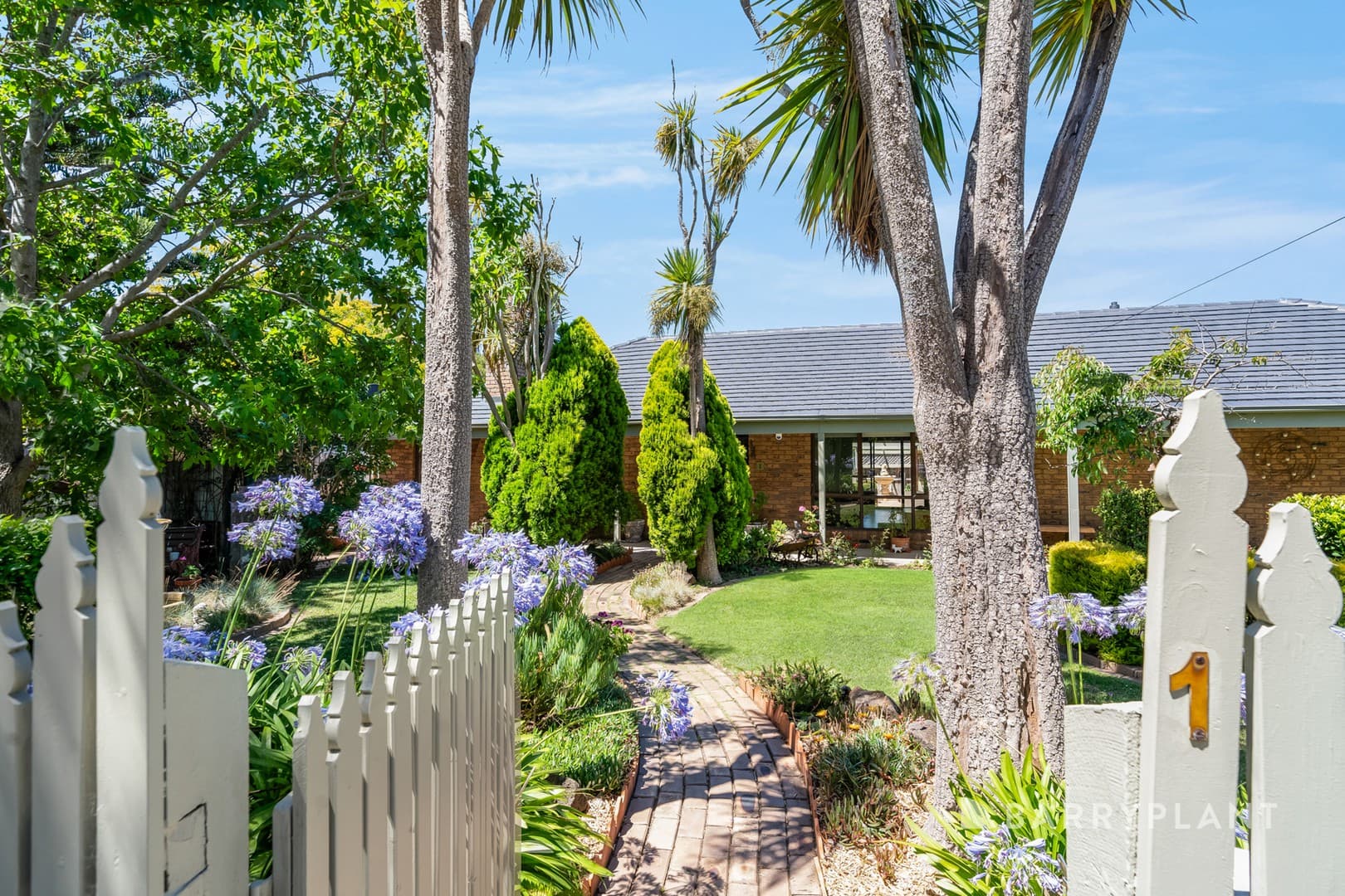 1 Tanunda Grove, Belmont, VIC 3216, Belmont - Thumbnail 2