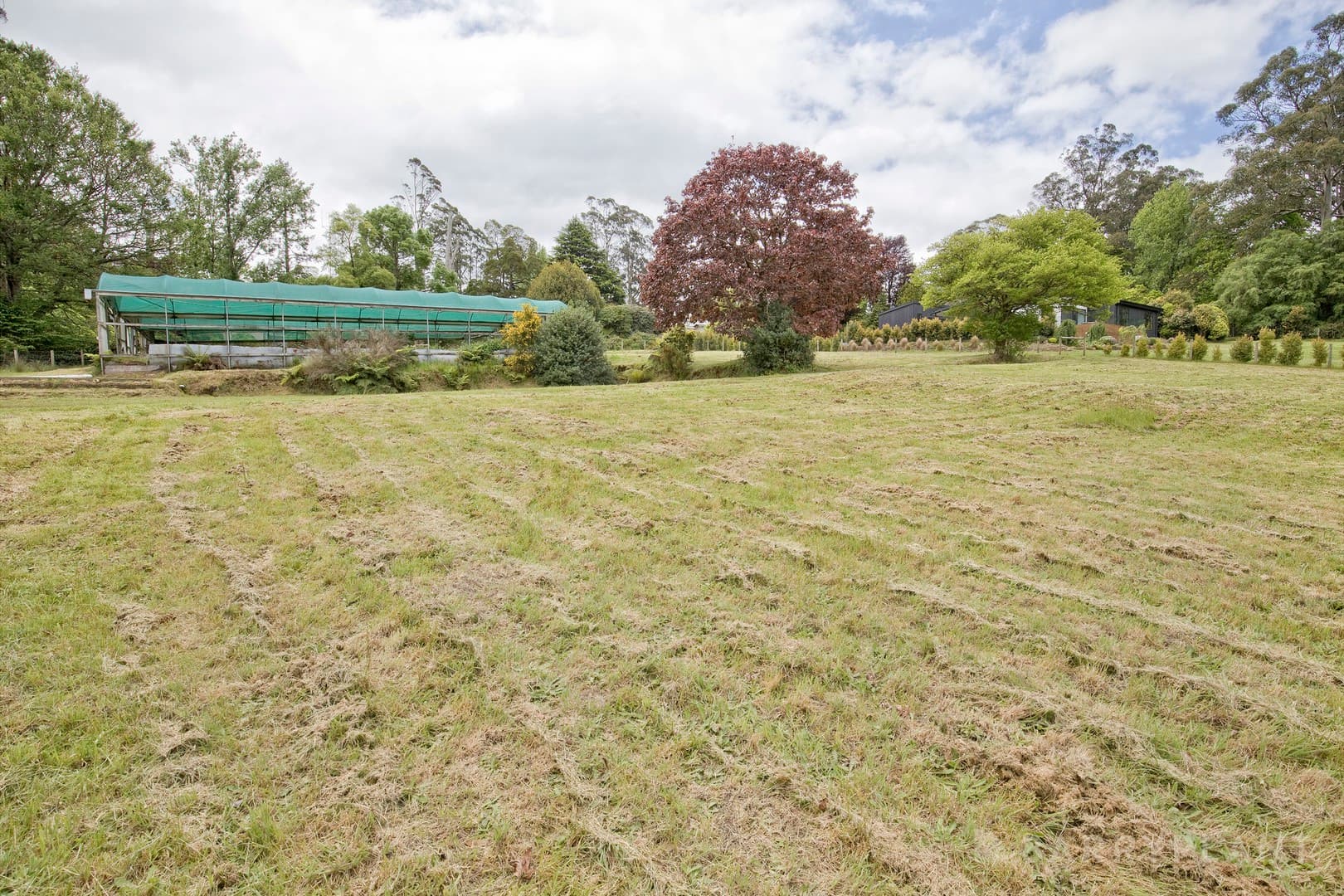 3 Victor Street, Olinda, VIC 3788, Olinda - Thumbnail 6