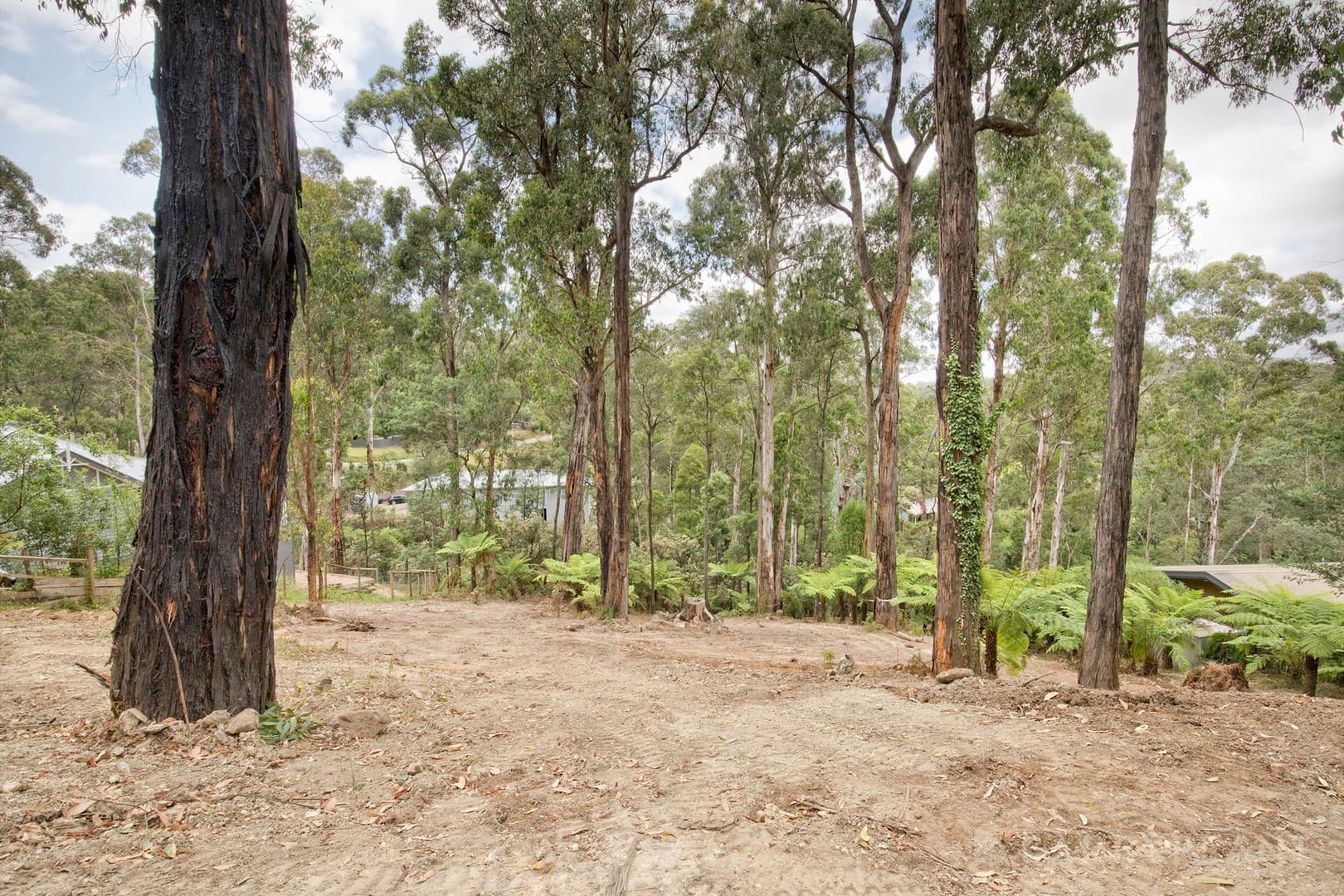 37 Mountain Road, Cockatoo, VIC 3781, Cockatoo - Thumbnail 2