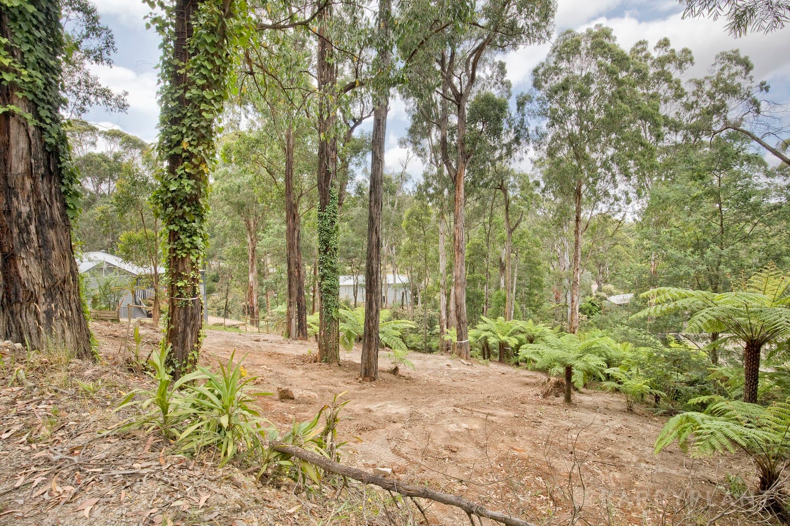 37 Mountain Road, Cockatoo, VIC 3781, Cockatoo - Thumbnail 3