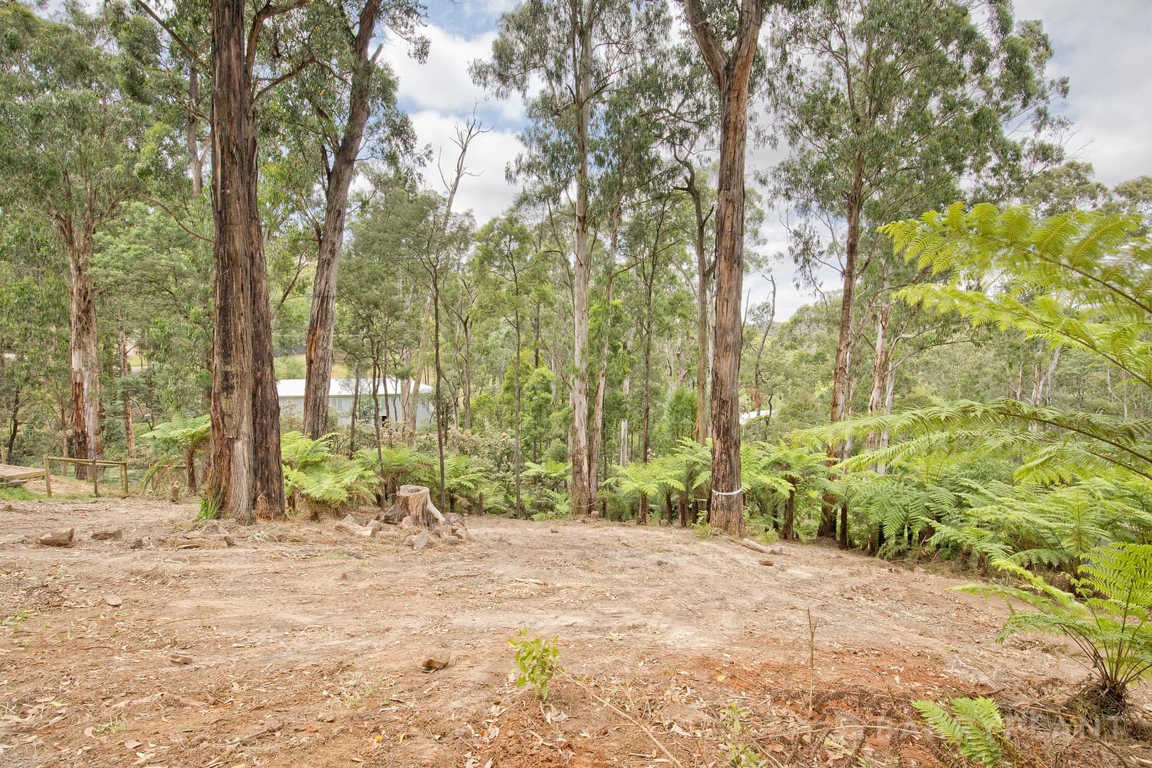 37 Mountain Road, Cockatoo, VIC 3781, Cockatoo - Thumbnail 4