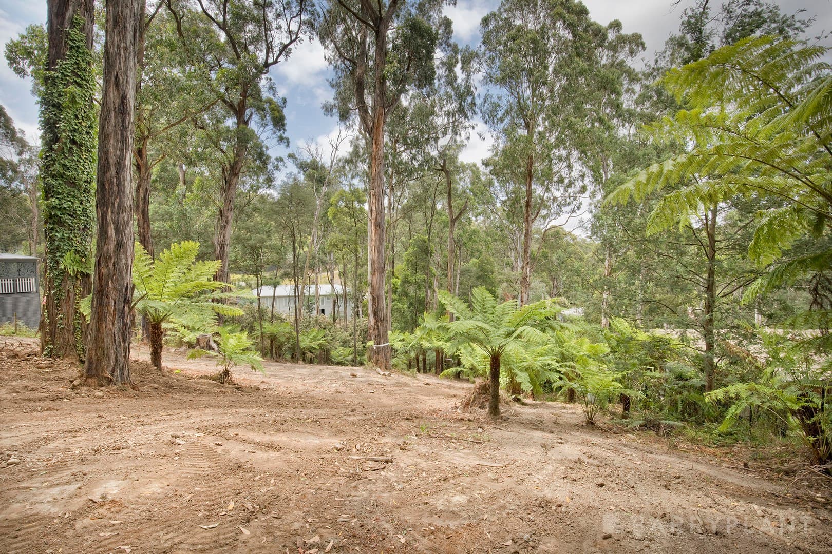 37 Mountain Road, Cockatoo, VIC 3781, Cockatoo - Thumbnail 5