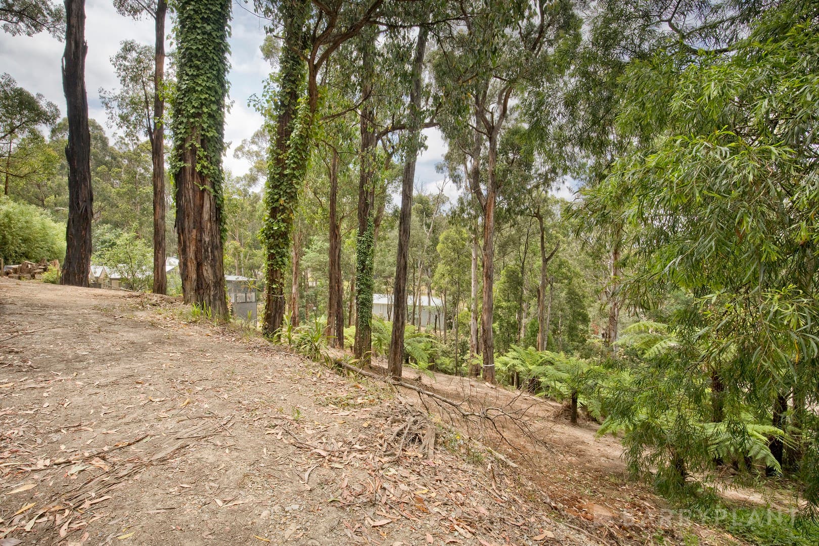 37 Mountain Road, Cockatoo, VIC 3781, Cockatoo - Thumbnail 6