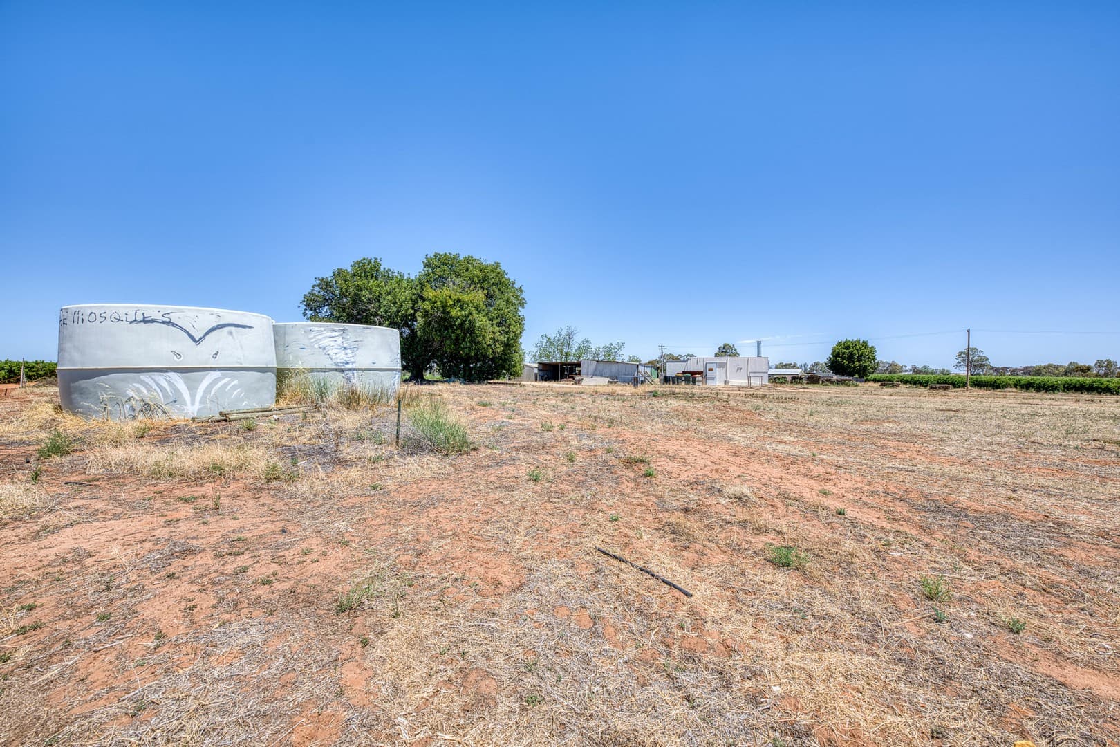 37 Trioda Street, Red Cliffs, VIC 3496, Red Cliffs - Thumbnail 4
