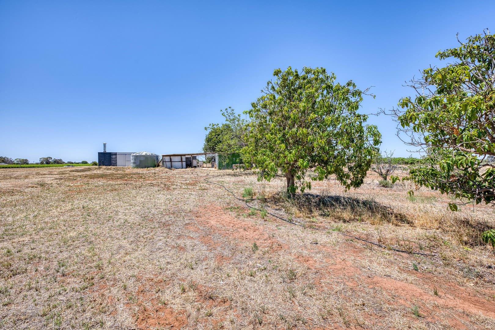 37 Trioda Street, Red Cliffs, VIC 3496, Red Cliffs - Thumbnail 6