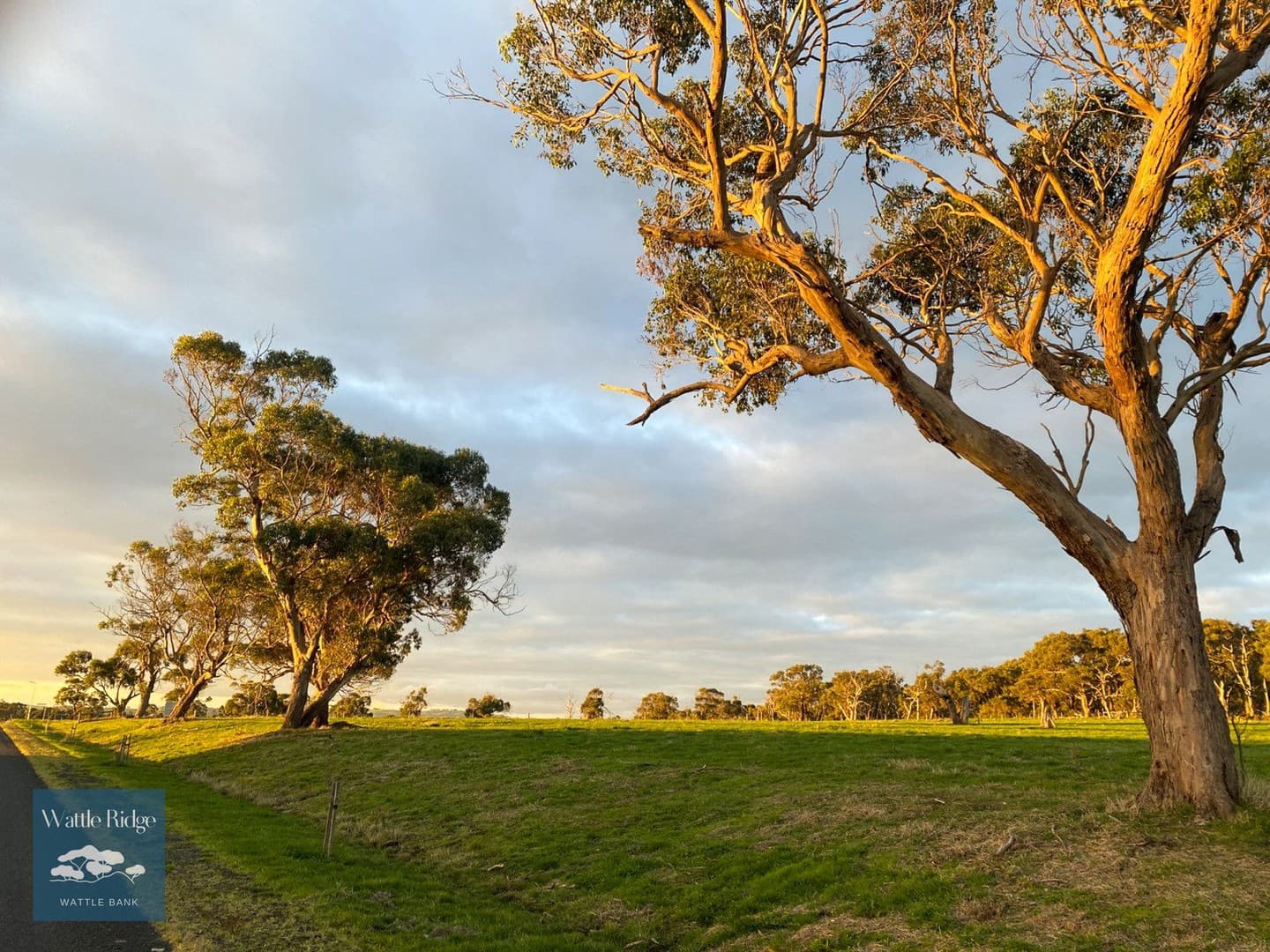 Majestic Vista, Wattle Bank, VIC 3995, Wattle Bank - Thumbnail 3
