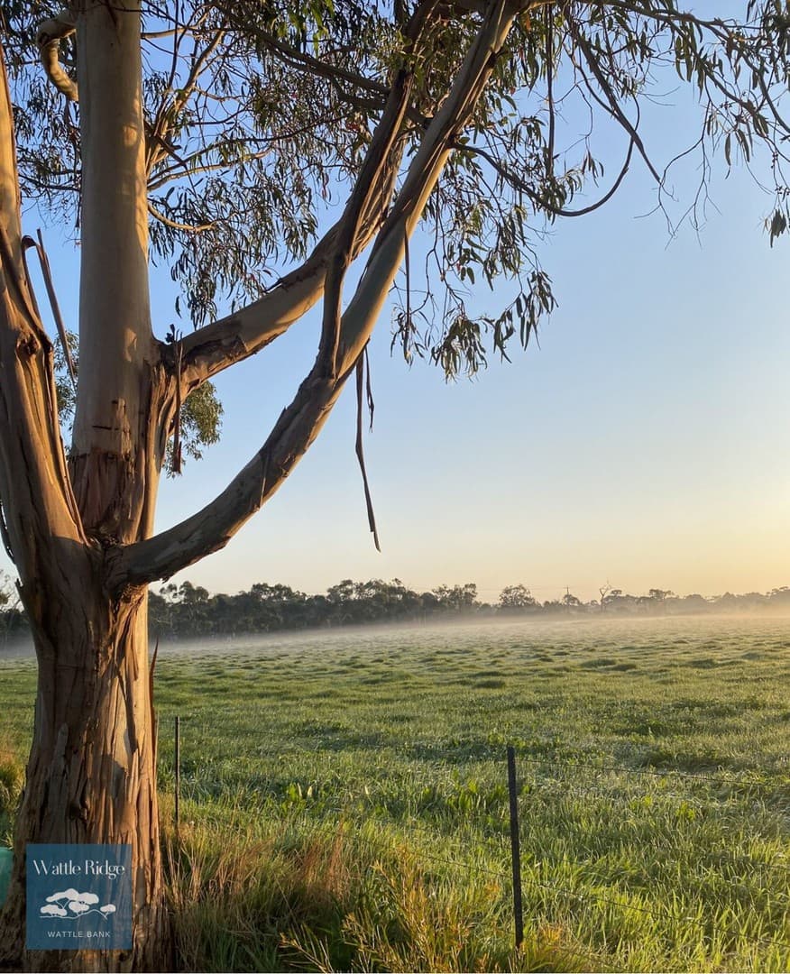 Majestic Vista, Wattle Bank, VIC 3995, Wattle Bank - Thumbnail 5