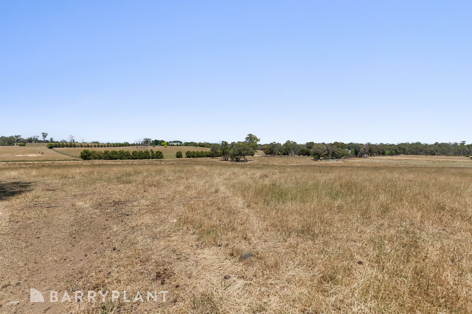 30 Ryan Court, Tallarook, VIC 3659, Tallarook - Thumbnail 7