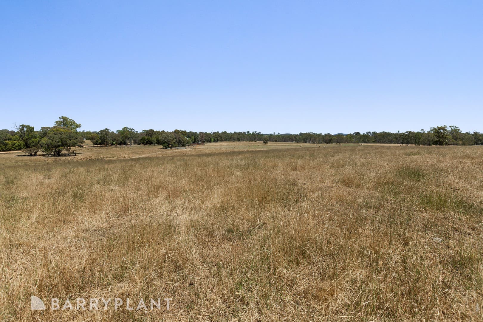 30 Ryan Court, Tallarook, VIC 3659, Tallarook - Thumbnail 8