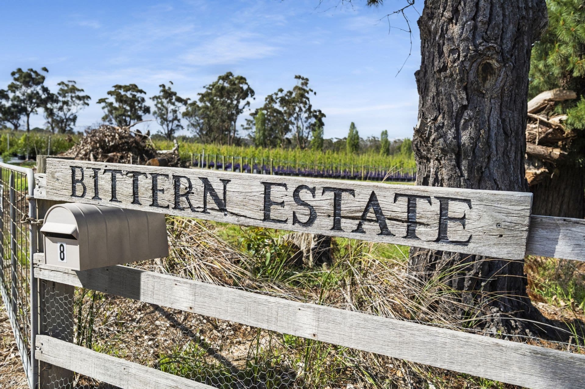 8 Bittern-Dromana Road, Bittern, Bittern - Thumbnail 2
