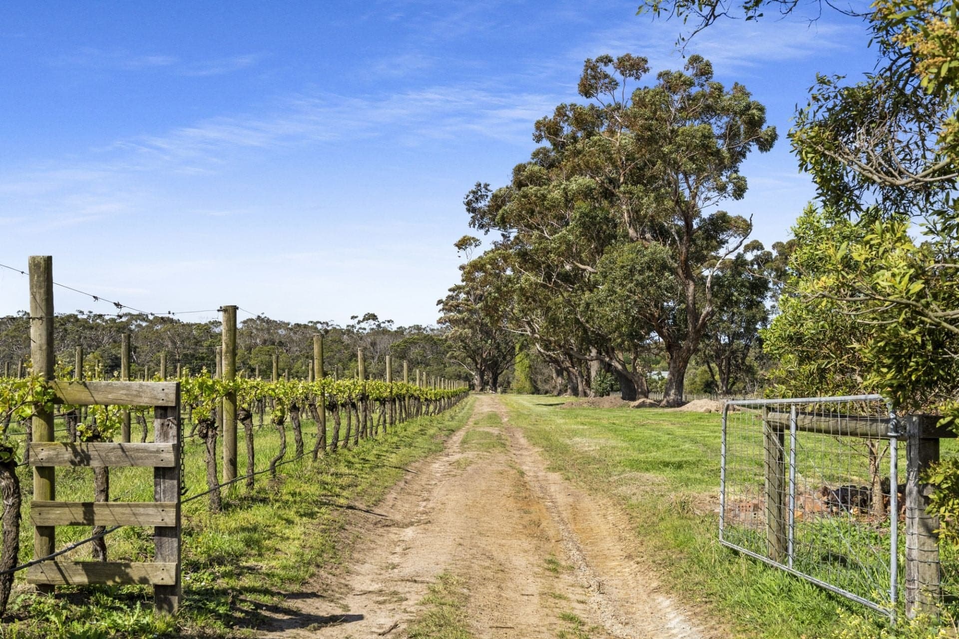 8 Bittern-Dromana Road, Bittern, Bittern - Thumbnail 3