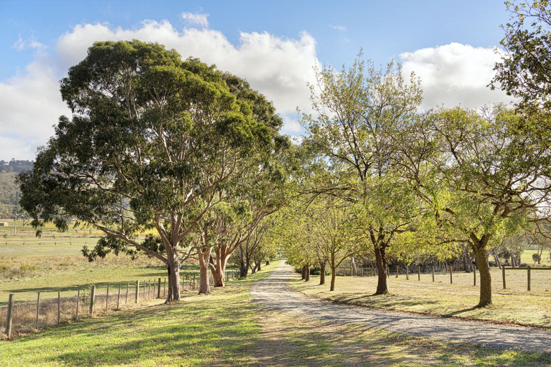 177 Yarraview Road, Yarra Glen, Yarra Glen - Thumbnail 3