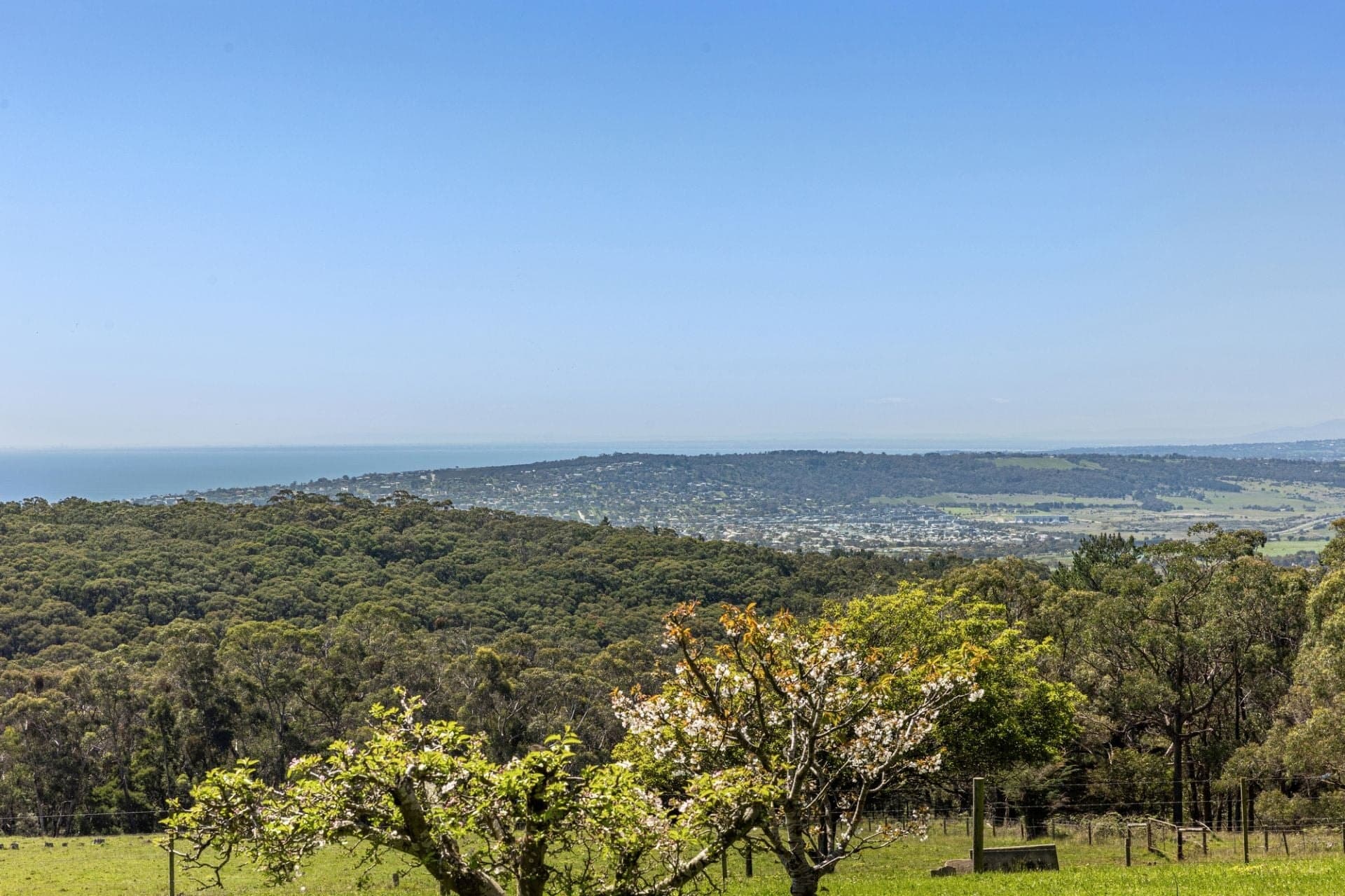 470 Arthurs Seat Road, Red Hill, Red Hill - Image 1