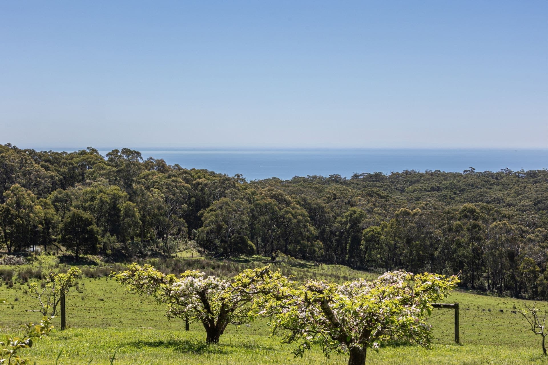 470 Arthurs Seat Road, Red Hill, Red Hill - Thumbnail 2