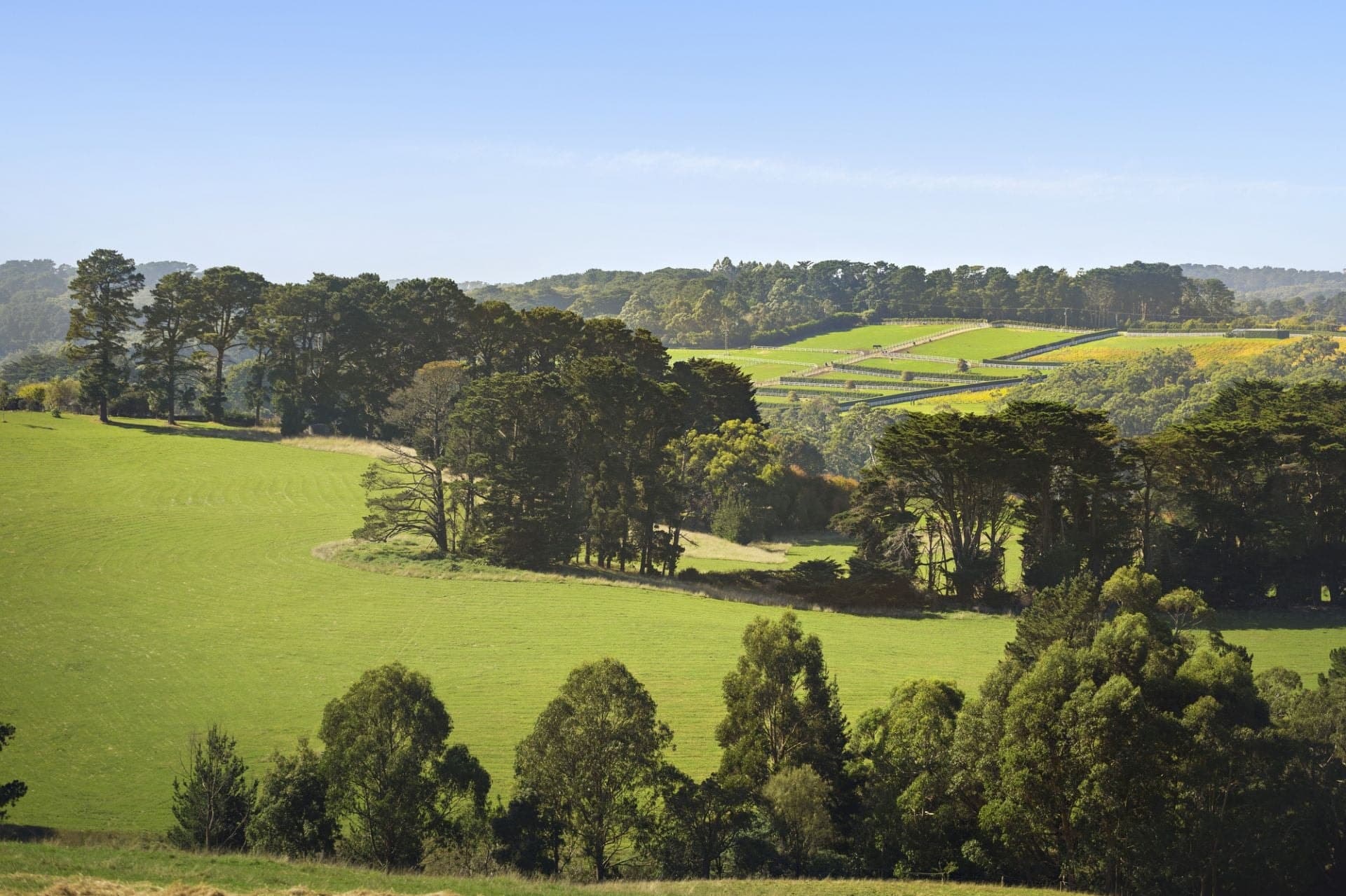 350 Barkers Road, Main Ridge, Main Ridge - Thumbnail 2