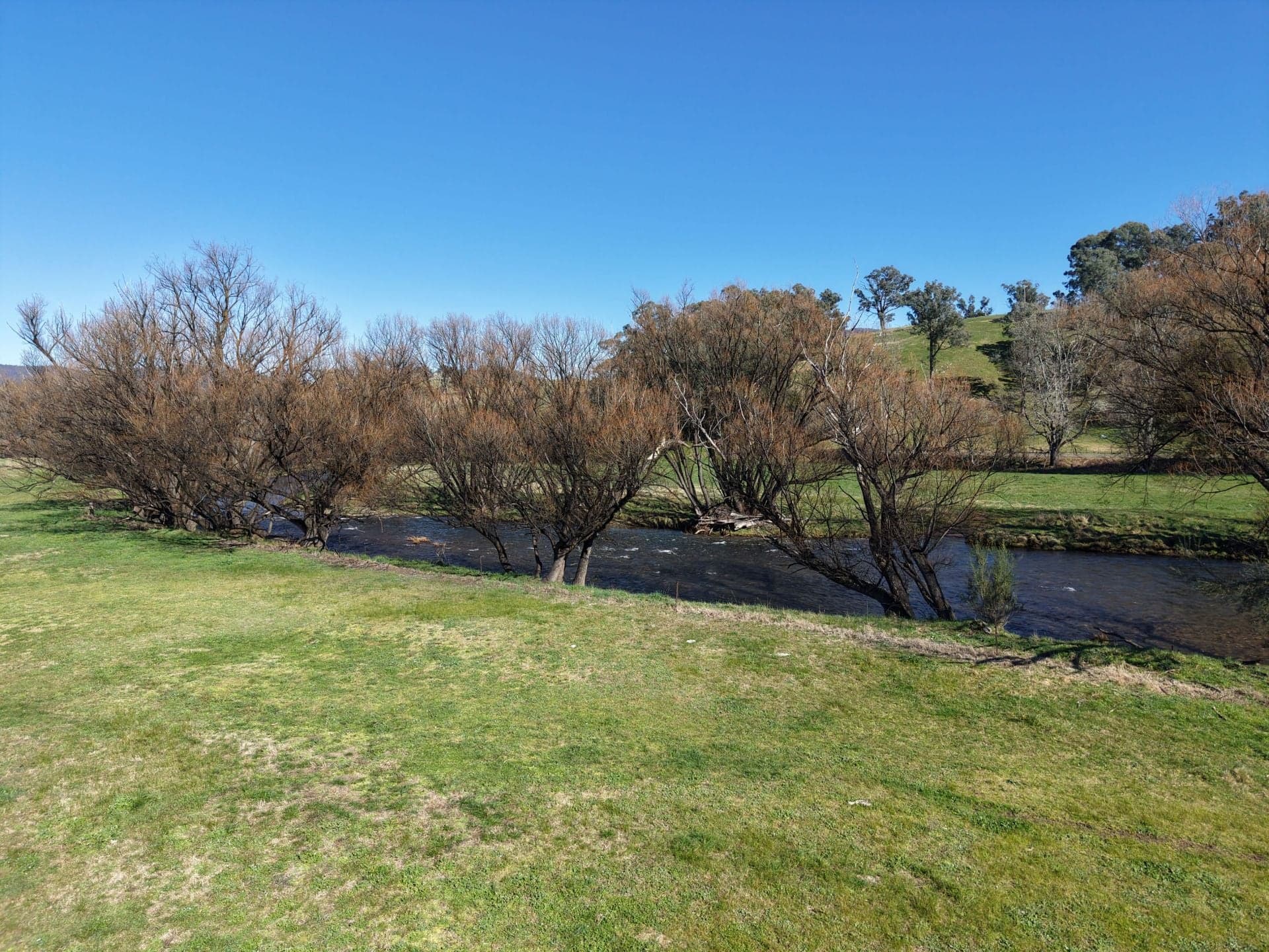 114 Dargo High Plains Road, Dargo VIC, Dargo - Thumbnail 4