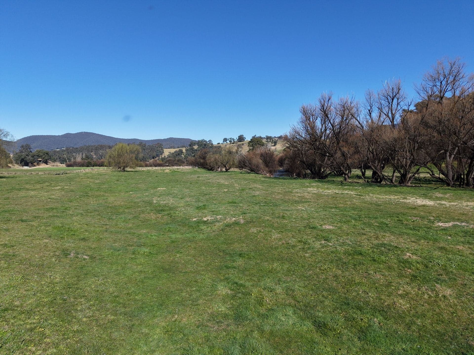 114 Dargo High Plains Road, Dargo VIC, Dargo - Thumbnail 6