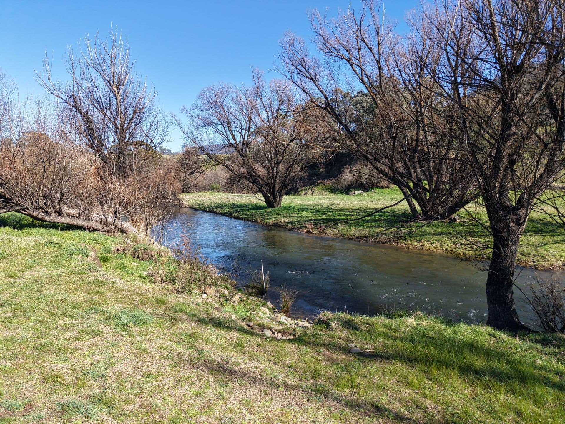 114 Dargo High Plains Road, Dargo VIC, Dargo - Thumbnail 8