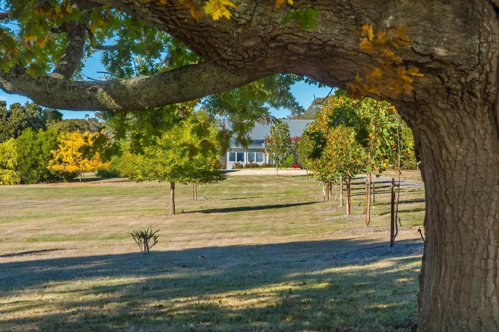 265 Pudding Bag Road, Drummond VIC 3461, Drummond - Thumbnail 2
