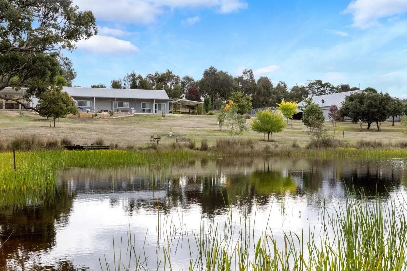 265 Pudding Bag Road, Drummond VIC 3461, Drummond - Thumbnail 6