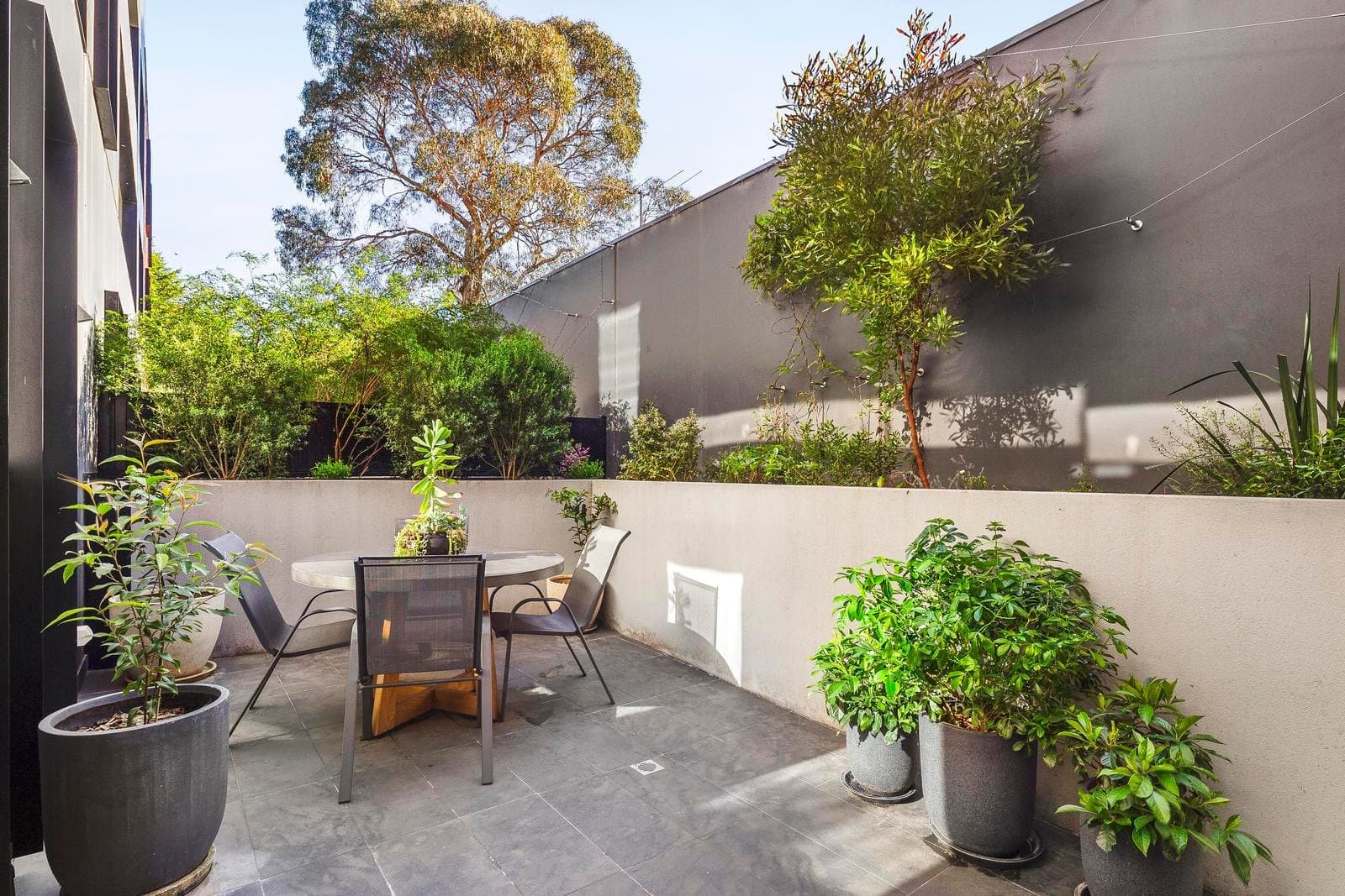 7/9 Railway Place, Fairfield VIC 3078, Fairfield - Thumbnail 2