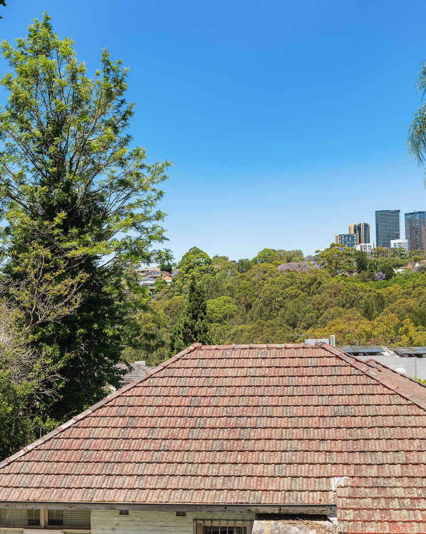 39 Calbina Road Northbridge, Northbridge - Thumbnail 8