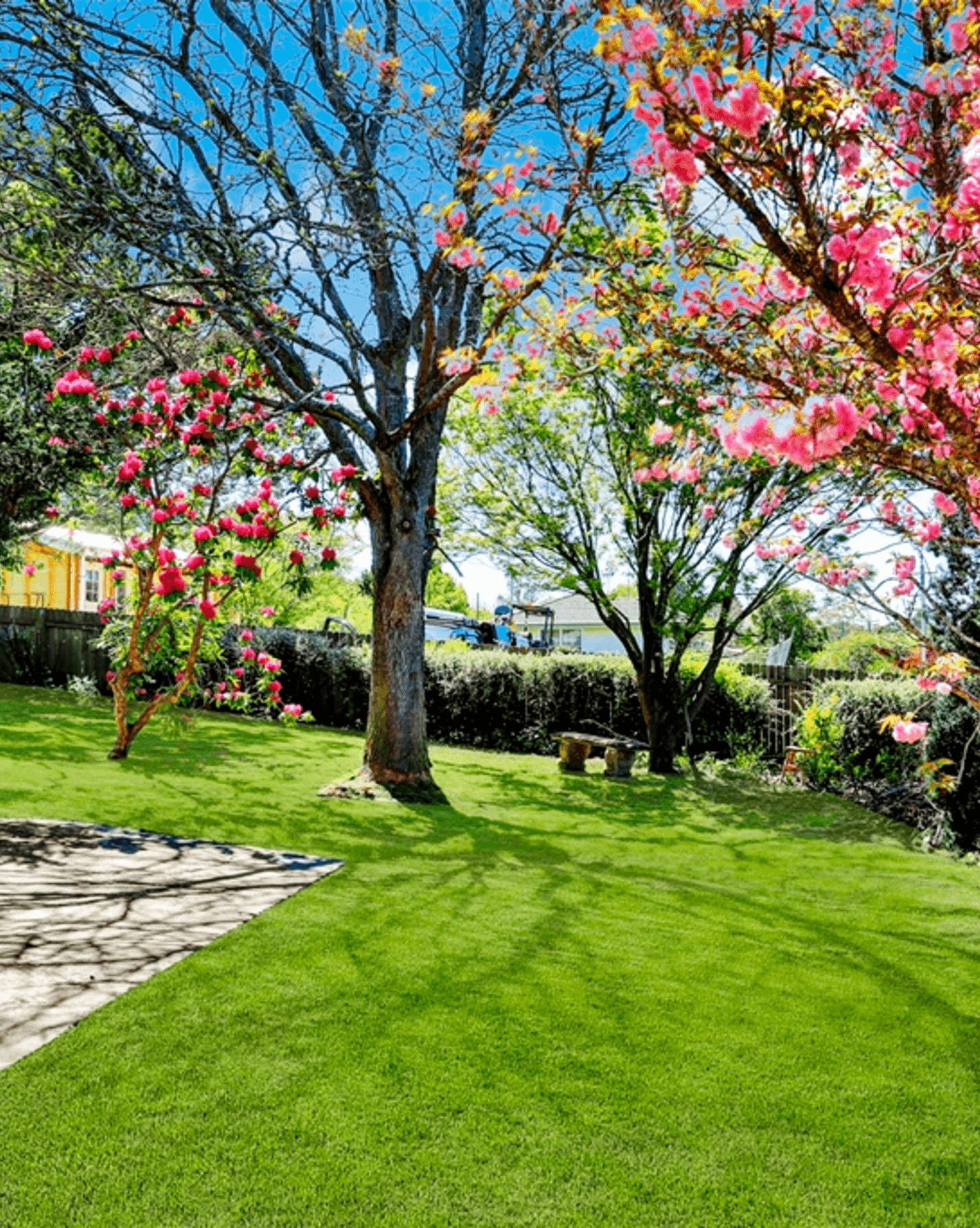 63 Railway Street Moss Vale, Moss Vale - Thumbnail 4