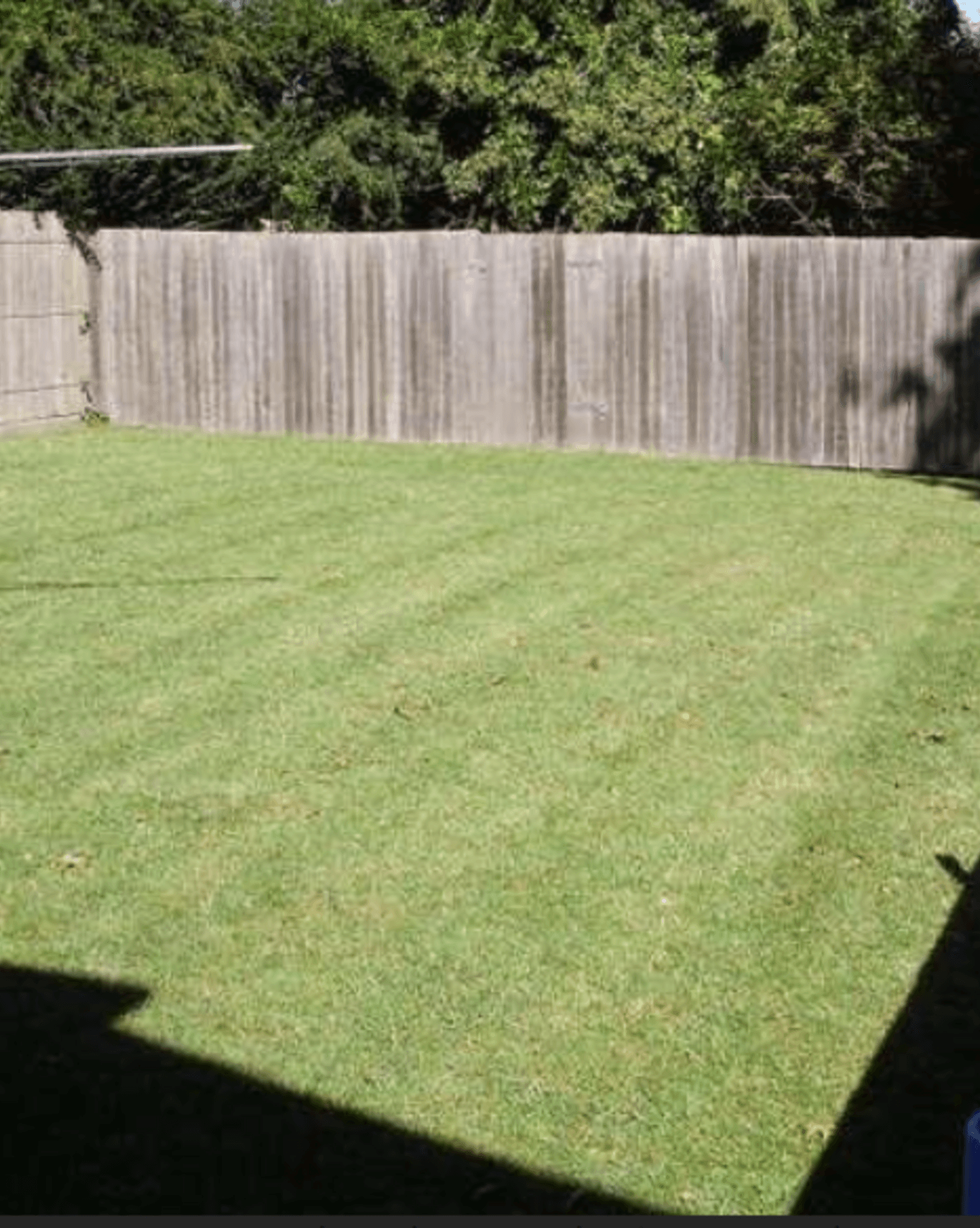 31 Kirkham Street Moss Vale, Moss Vale - Thumbnail 6