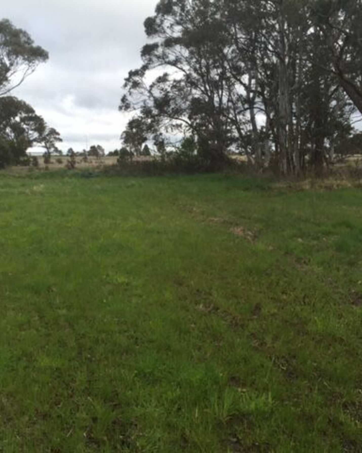 38 Goulburn Street Marulan, Marulan - Thumbnail 5