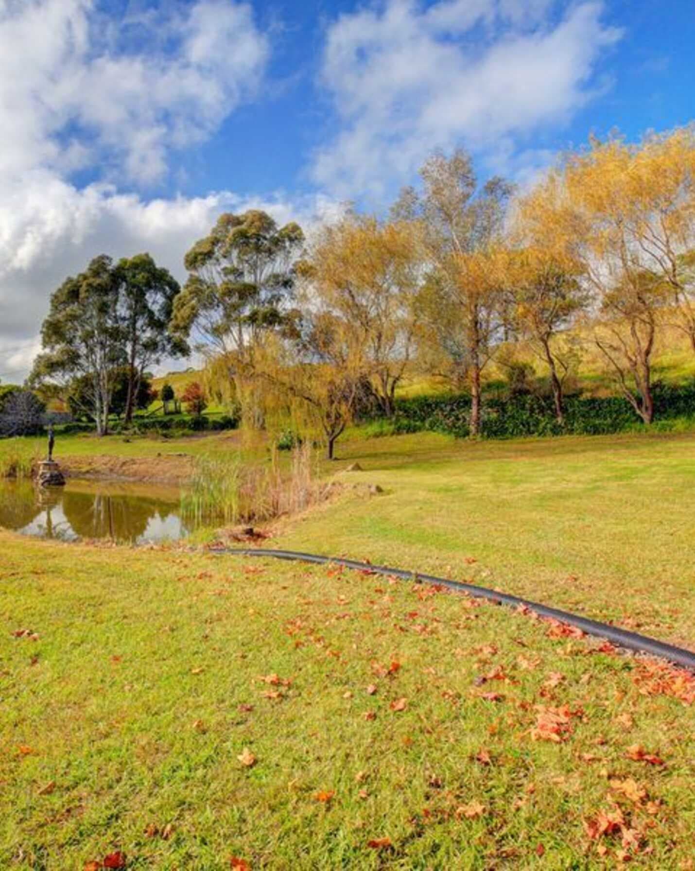 4 Mt Broughton Road Moss Vale, Vale - Thumbnail 2