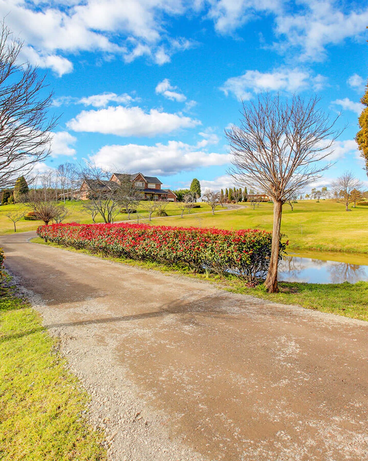 239 Mary Street Mittagong, Mittagong - Thumbnail 5