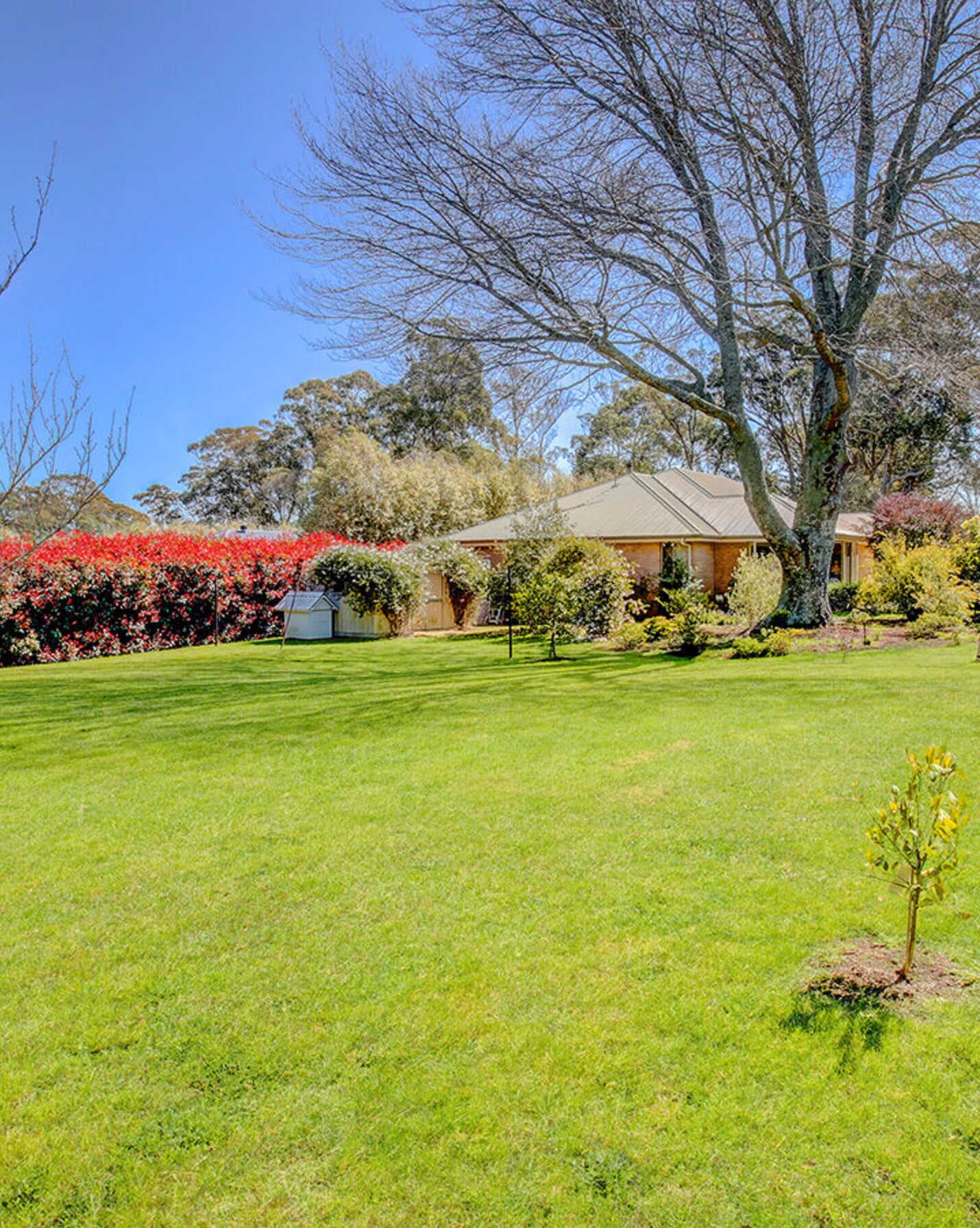 62 Blue Gum Road Bundanoon, Bundanoon - Thumbnail 4