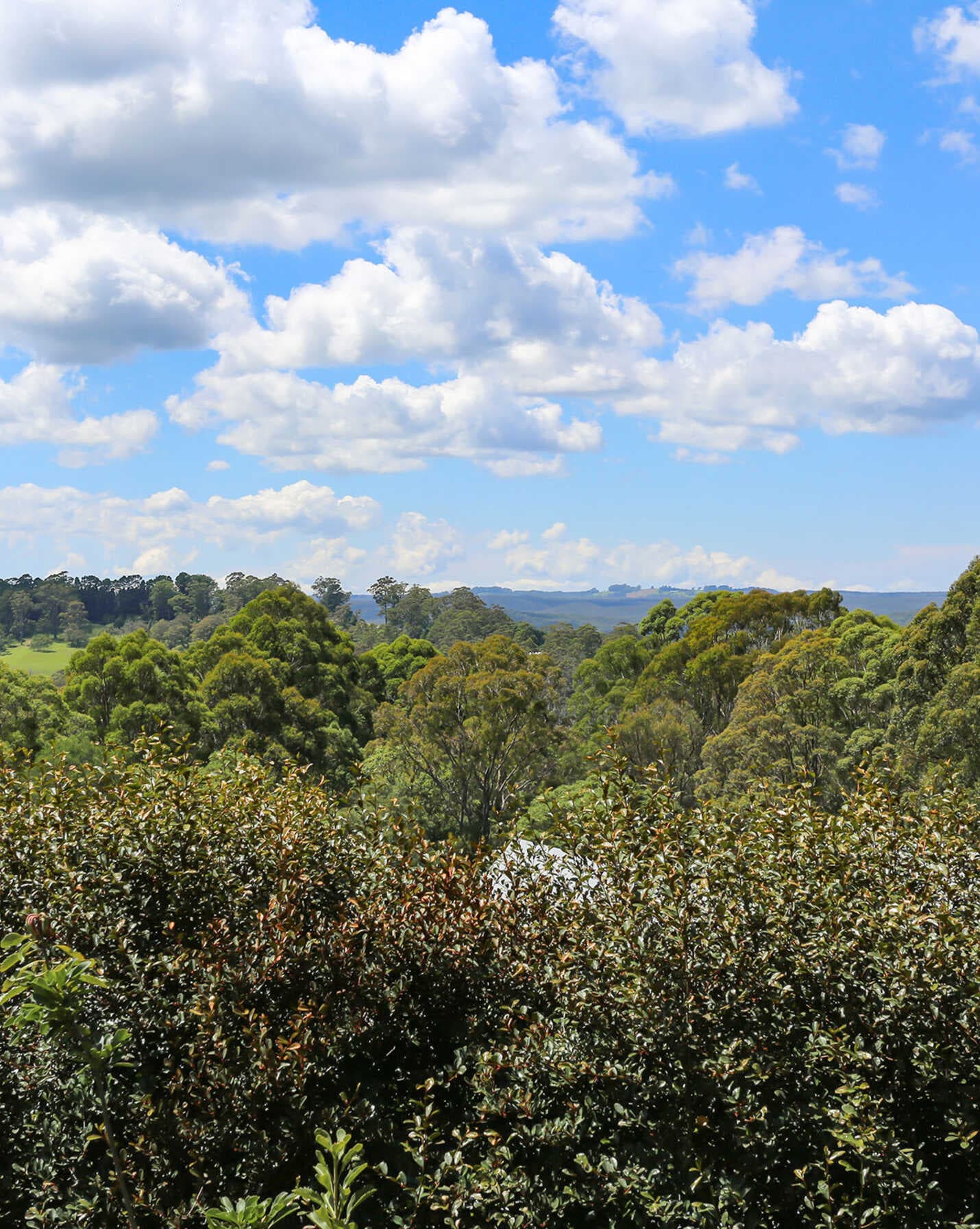 55 William Street Bundanoon, Bundanoon - Thumbnail 4