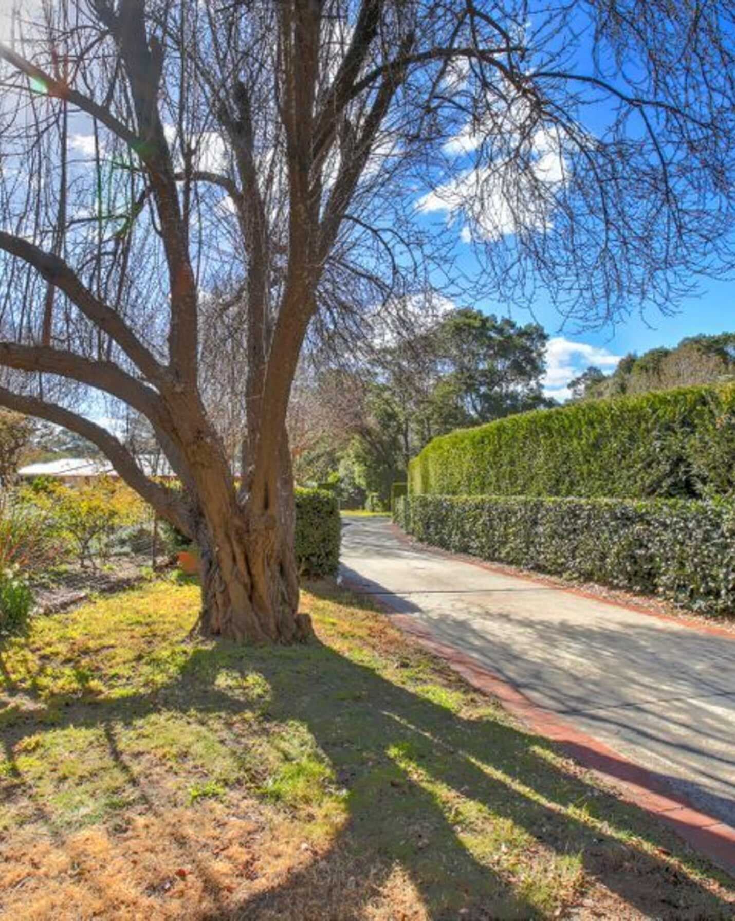 2A Elmswood Court Bundanoon, Bundanoon - Thumbnail 7