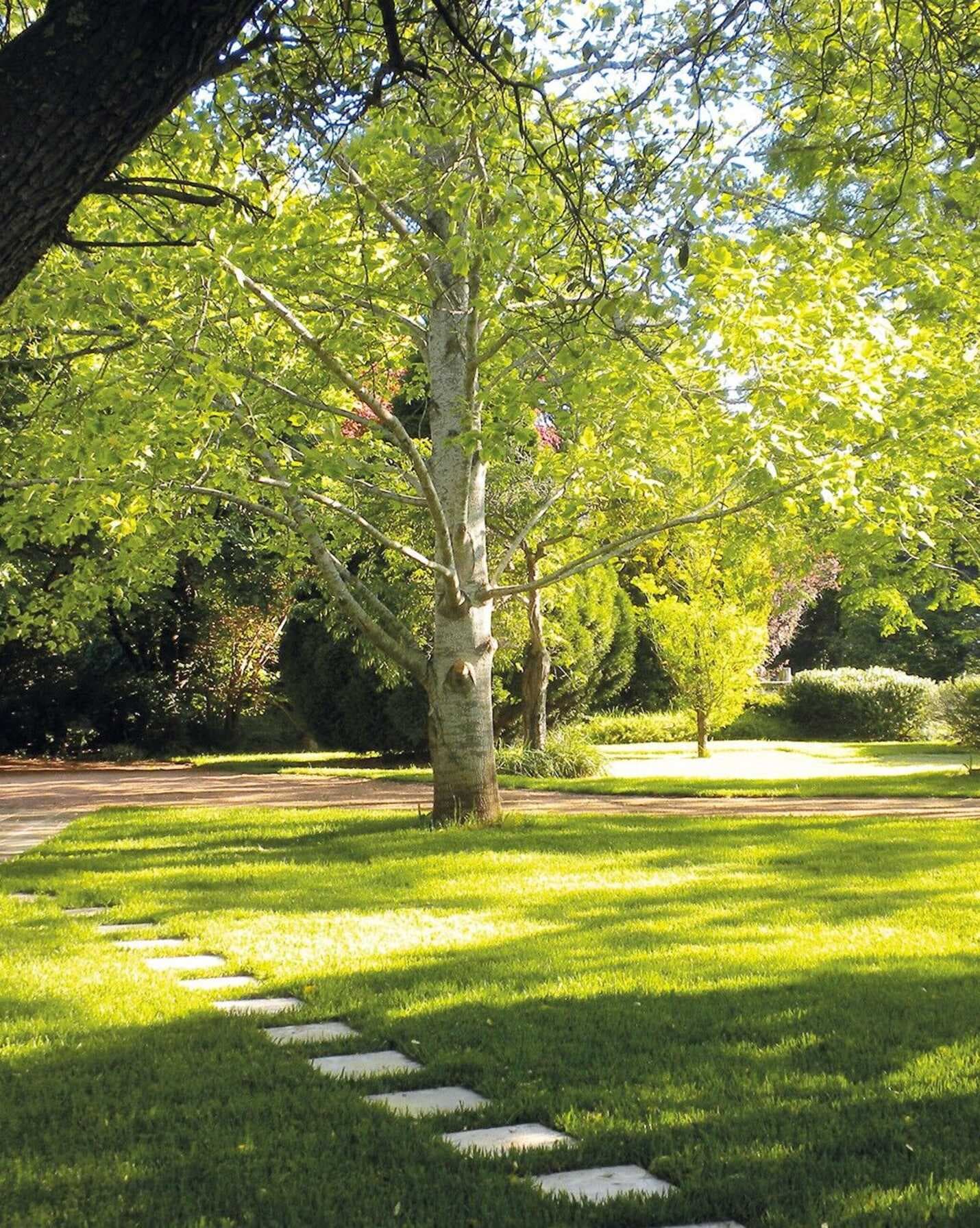 1 Hurlingham Avenue Burradoo, Burradoo - Thumbnail 3