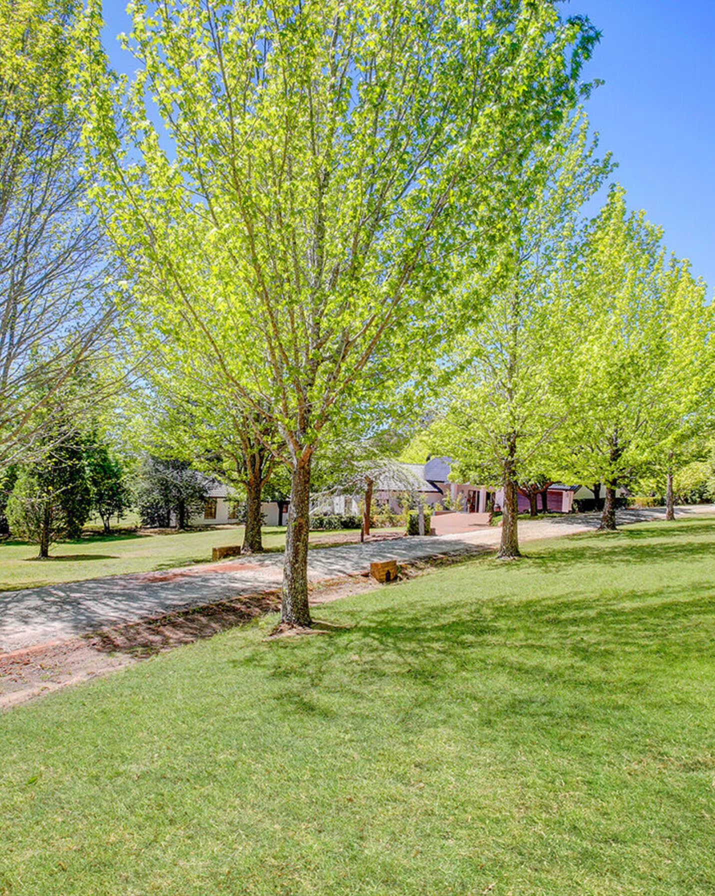 245 Mary Street Mittagong, Mittagong - Thumbnail 5