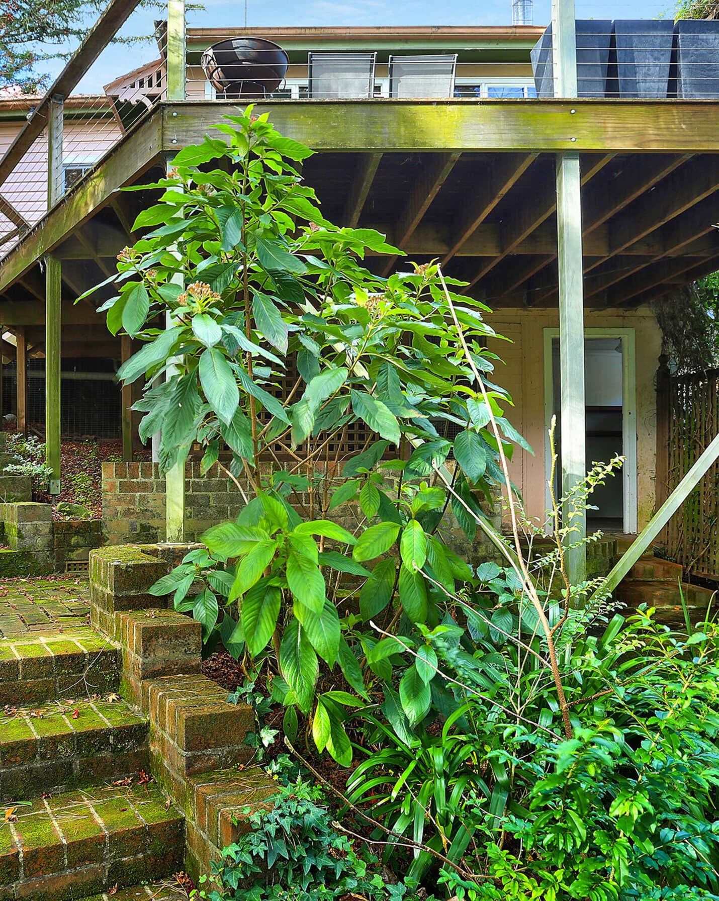 19 Church Street Bundanoon, Bundanoon - Thumbnail 6