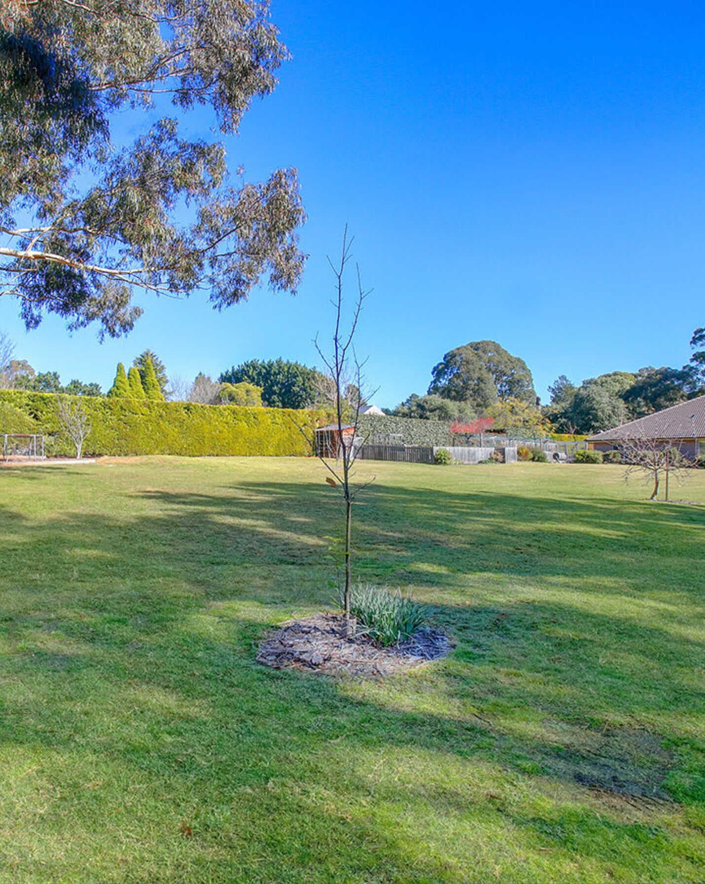 63 Ellsmore Road Bundanoon, Bundanoon - Thumbnail 7