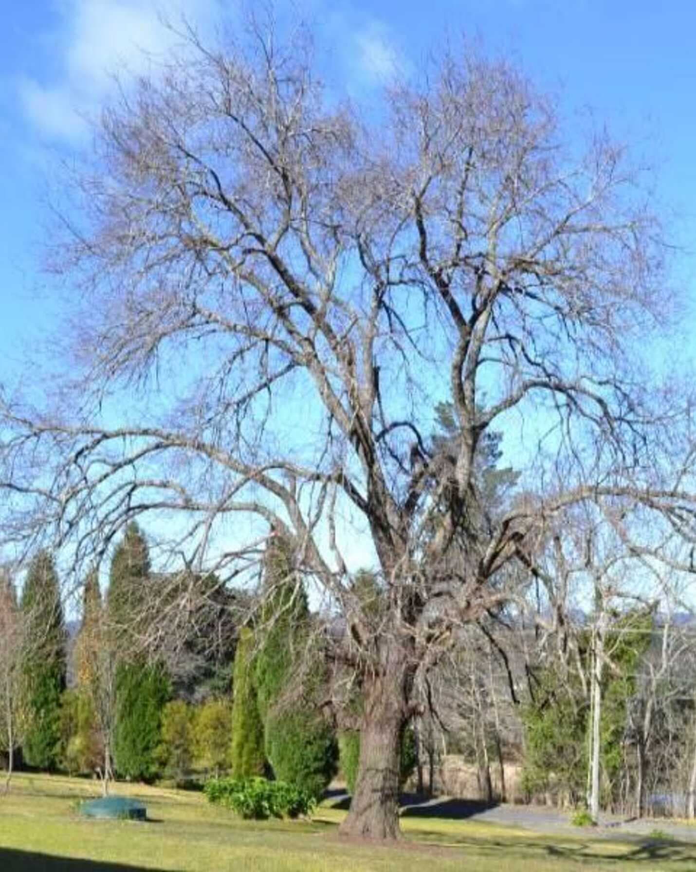 7 Orchard Road Bowral, Bowral - Image 1
