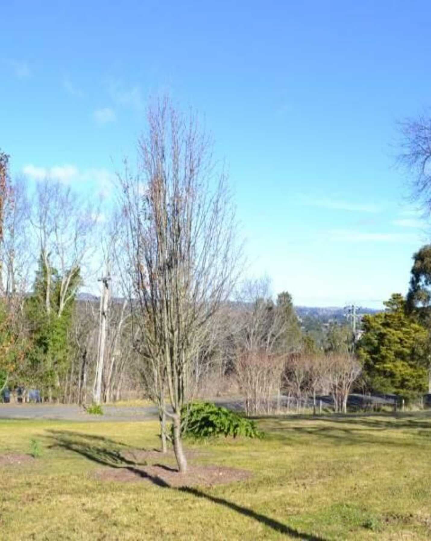 7 Orchard Road Bowral, Bowral - Thumbnail 3