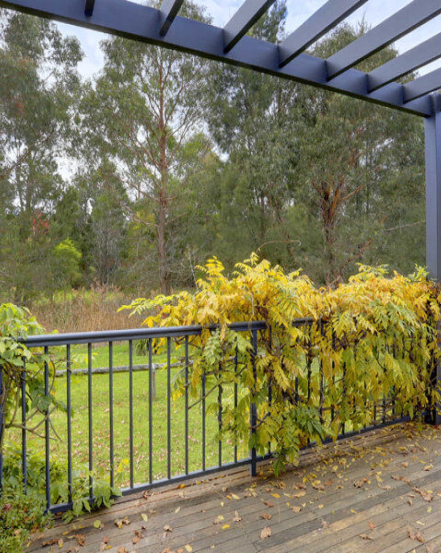1/12 Mack Street Moss Vale, Moss Vale - Thumbnail 3