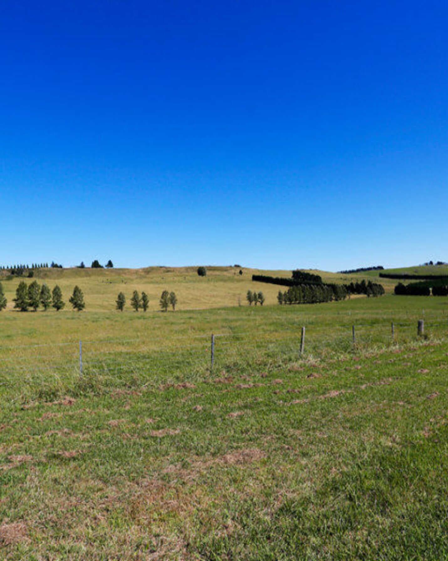 90 Yarrawa Road Moss Vale, Moss Vale - Thumbnail 3