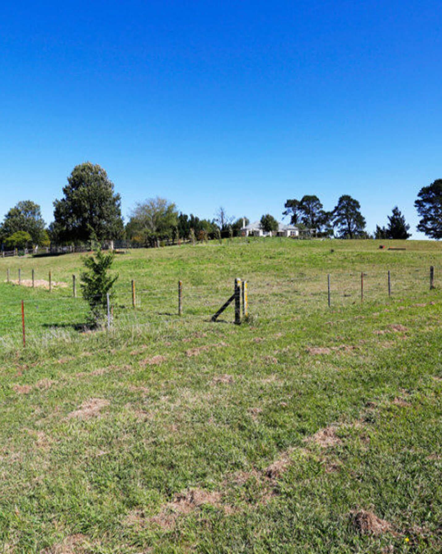 90 Yarrawa Road Moss Vale, Moss Vale - Thumbnail 4