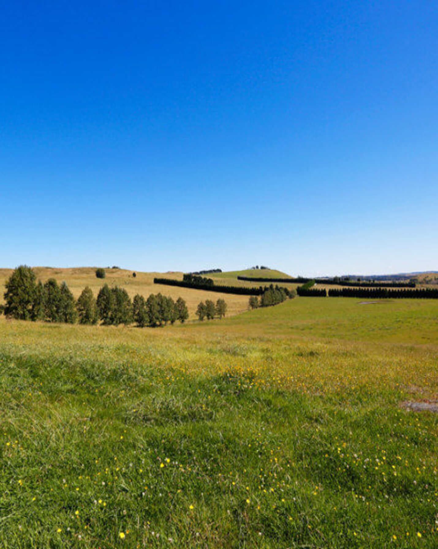 90 Yarrawa Road Moss Vale, Moss Vale - Thumbnail 5