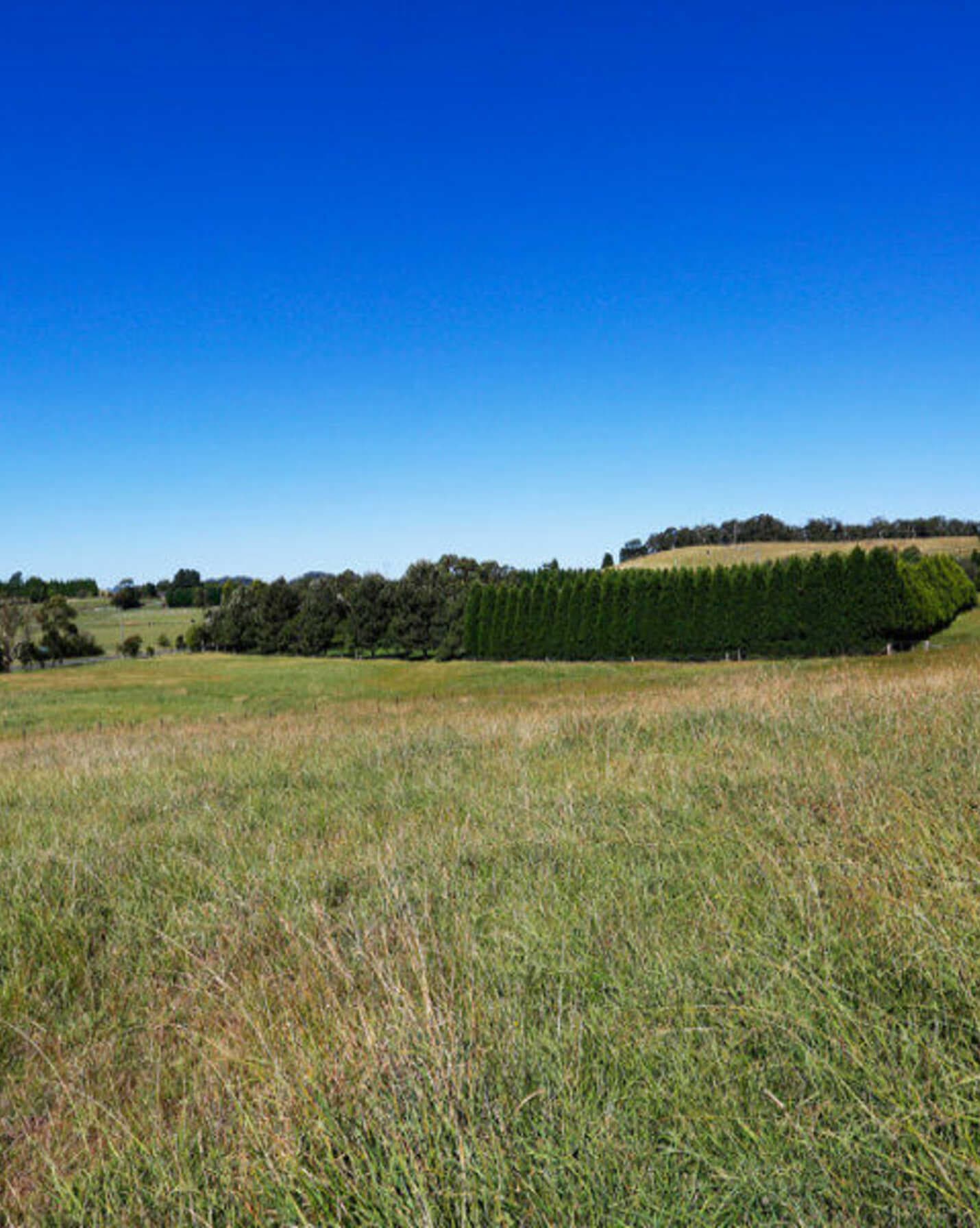 90 Yarrawa Road Moss Vale, Moss Vale - Thumbnail 6