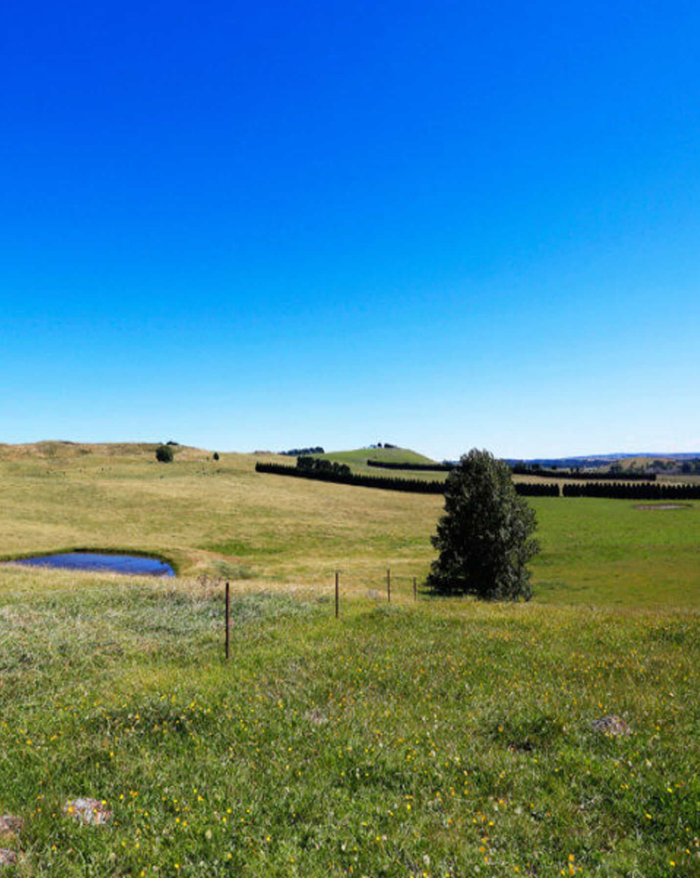 90 Yarrawa Road Moss Vale, Moss Vale - Thumbnail 7