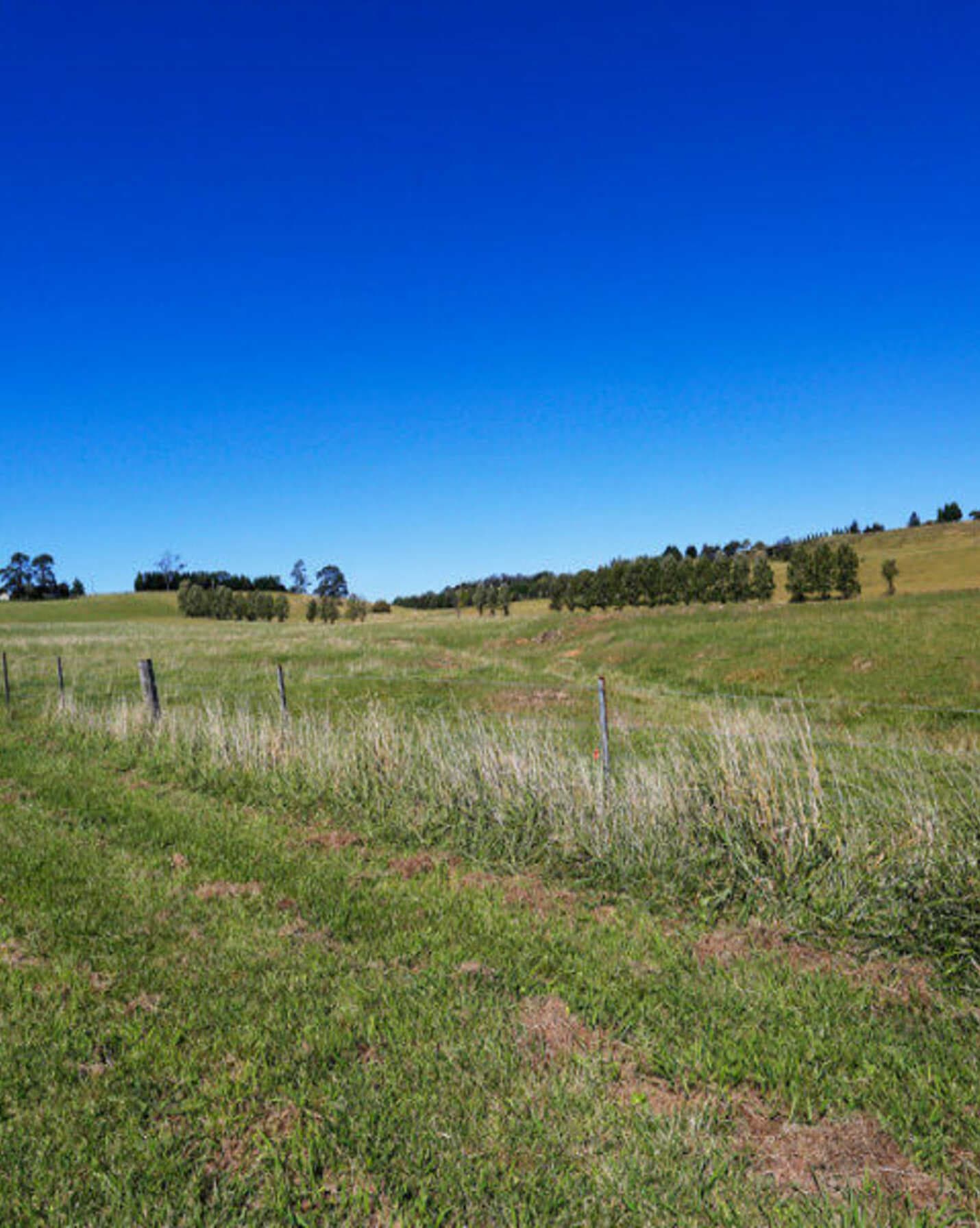 90 Yarrawa Road Moss Vale, Moss Vale - Thumbnail 8